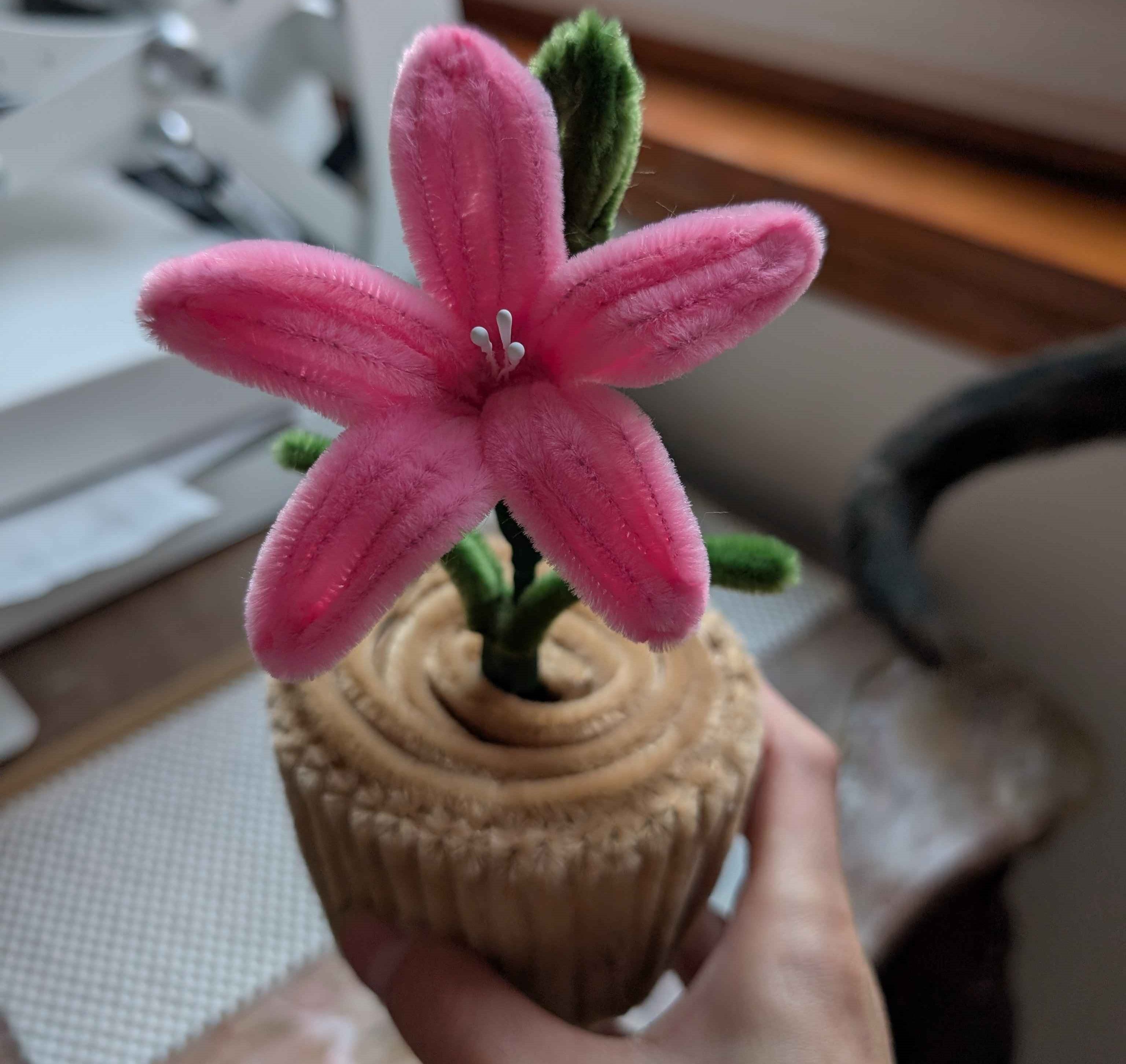 Lilies