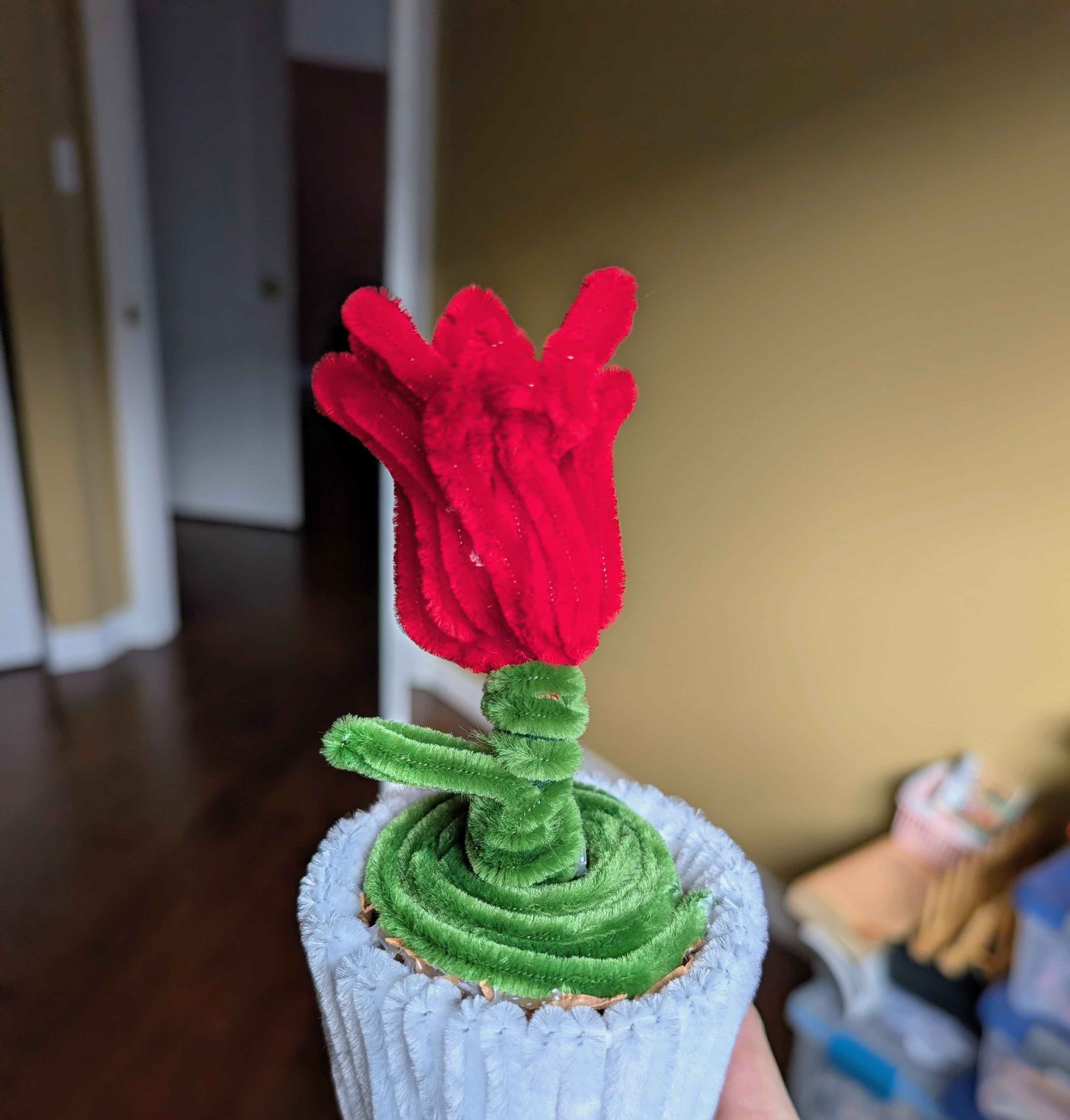 Tulips