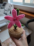 Mini Pots - Lilies