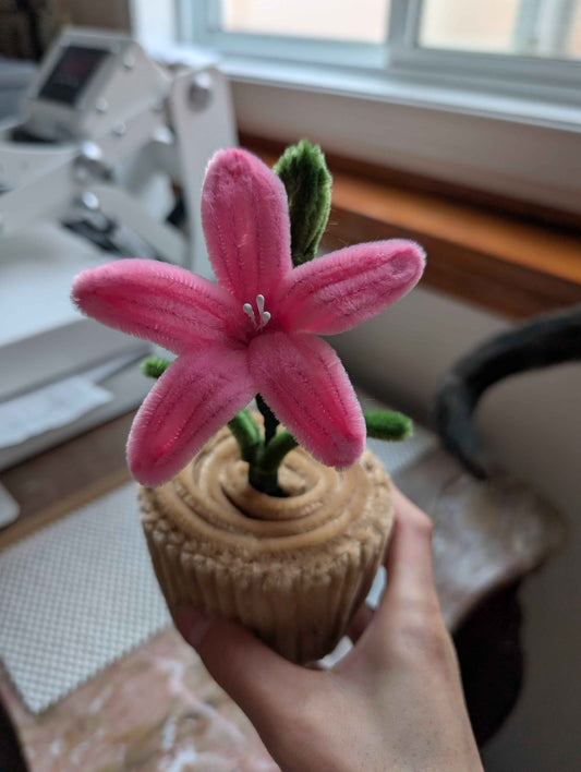 Mini Pots - Lilies