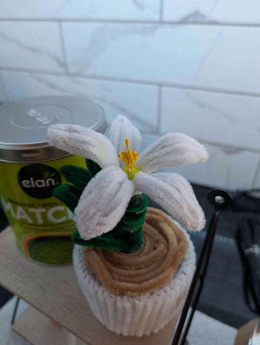 Mini Pot - Matcha Flower