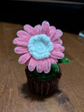 Mini Pots - Gerbera