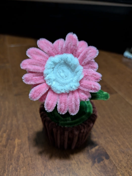 Mini Pots - Gerbera