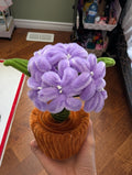 Mini Pots - Hydrangeas (NEW!!)