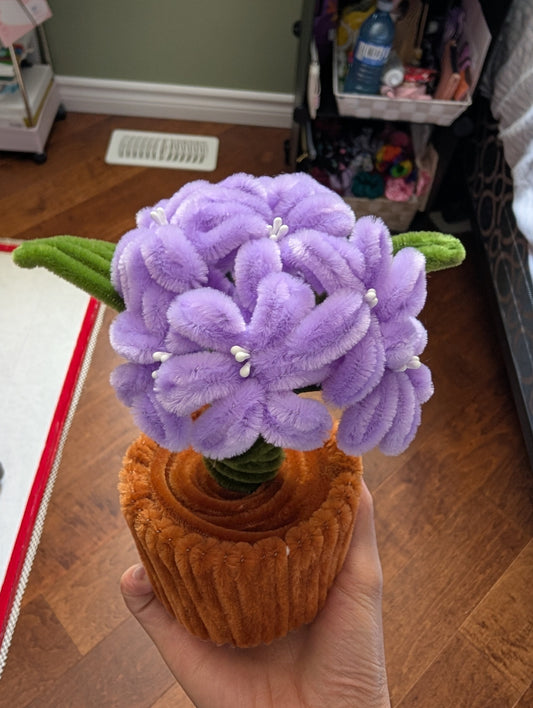 Mini Pots - Hydrangeas